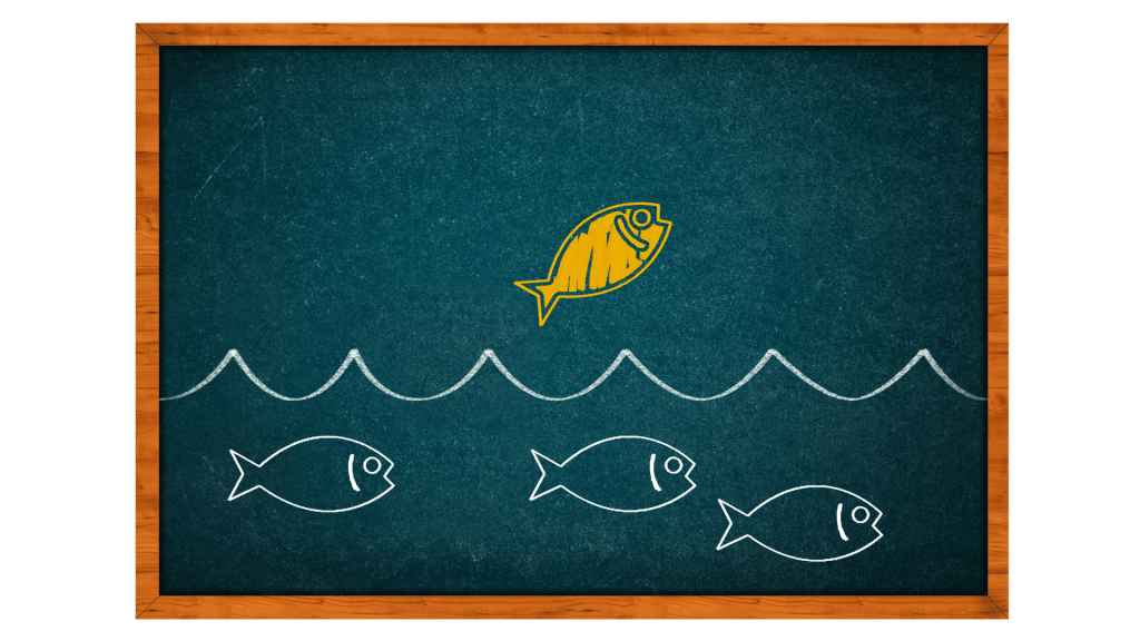 La balanced scorecard (BSC)